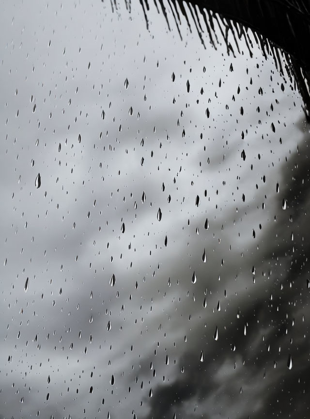 Raindrops on glass window with stormy sky and palm leaves.