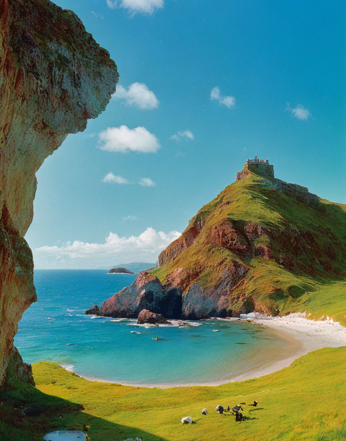 Grassy cliff, ancient castle, sandy beach, sheep grazing - Coastal landscape with picturesque elements