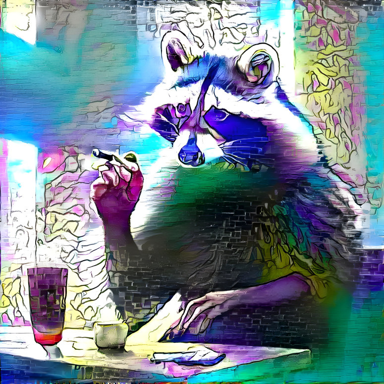  raccoon smokes