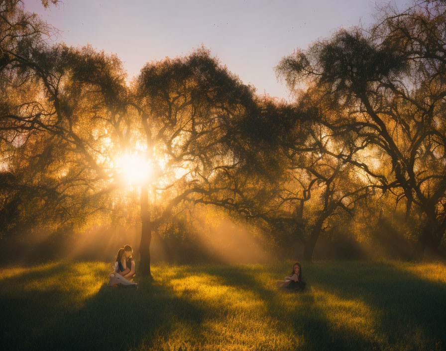 Sunlight Illuminates Two People in Grassy Field