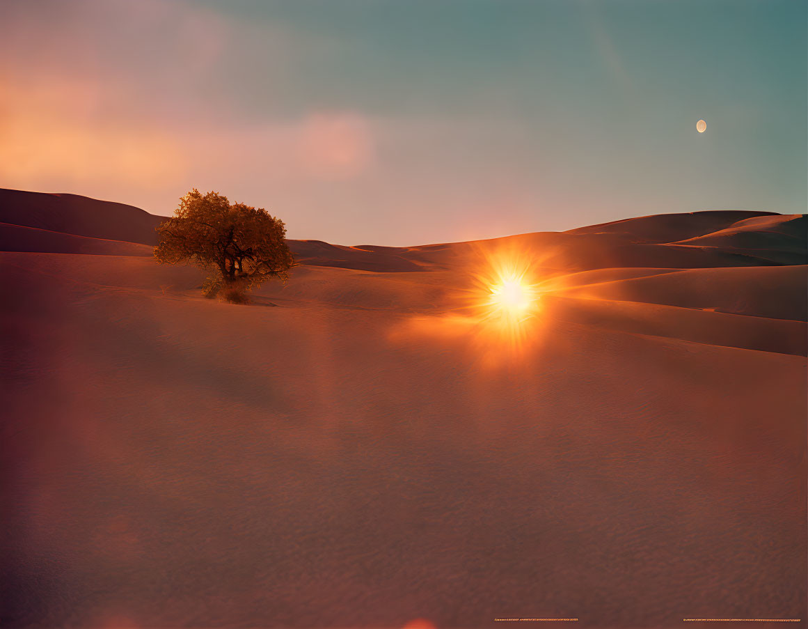 Scenic sunset landscape with sand dunes, tree, warm sky, and crescent moon.