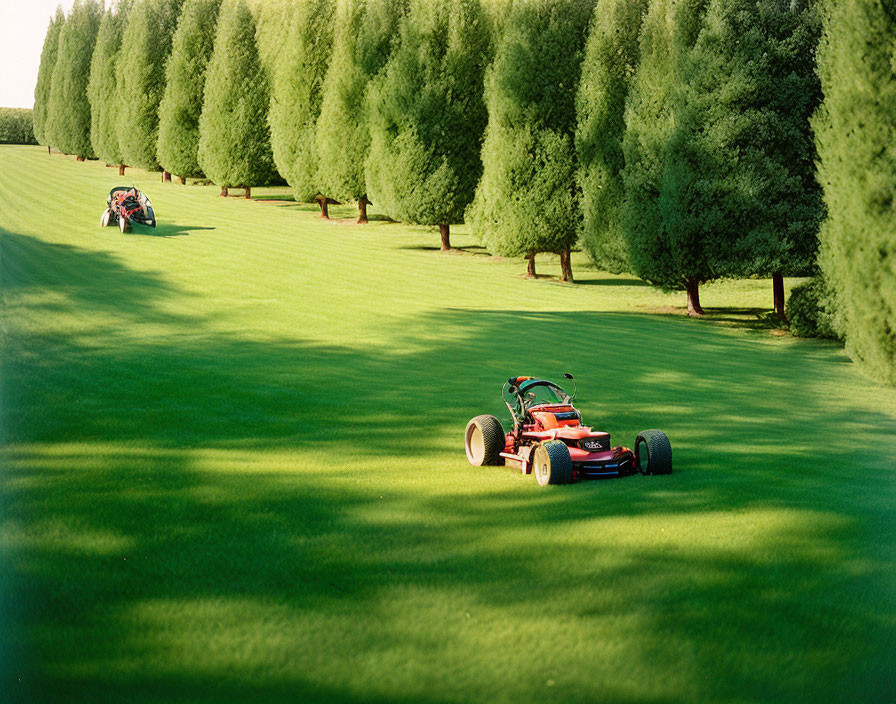 Two go-karts racing on green pathway with trees under clear skies