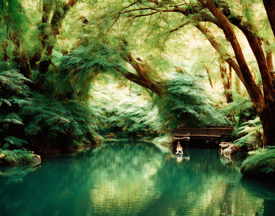 Serene river scene with wooden bridge, lush greenery, trees, and boat