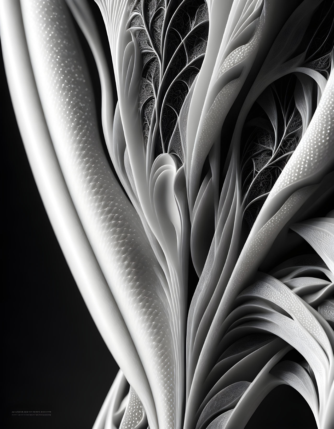 Abstract Monochrome Fractal Art: Fluid Shapes, Intricate Patterns, Dark Background