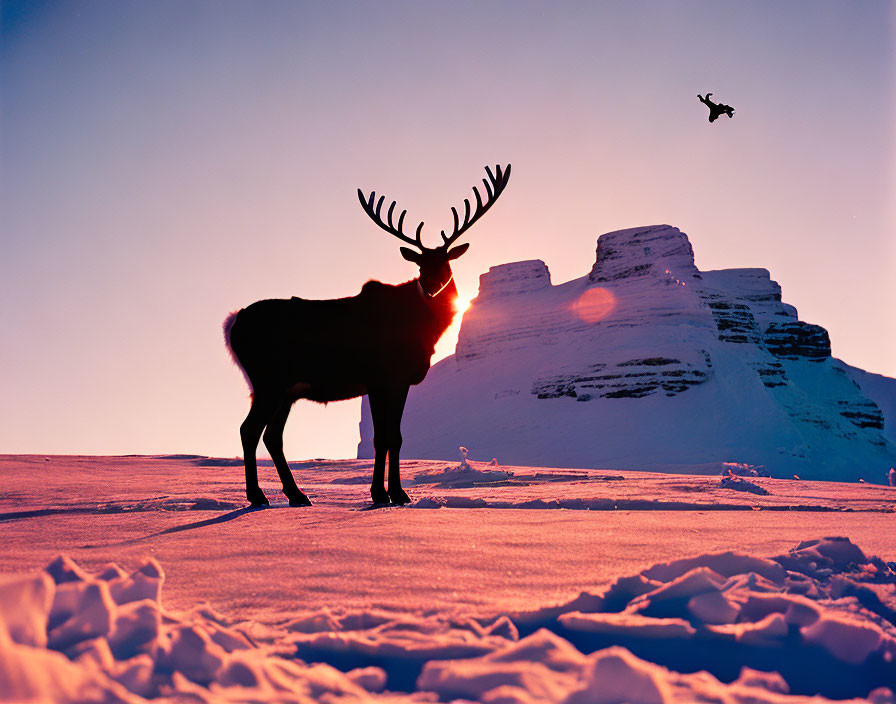 Snowy sunset scene: reindeer, rock formations, bird in clear sky