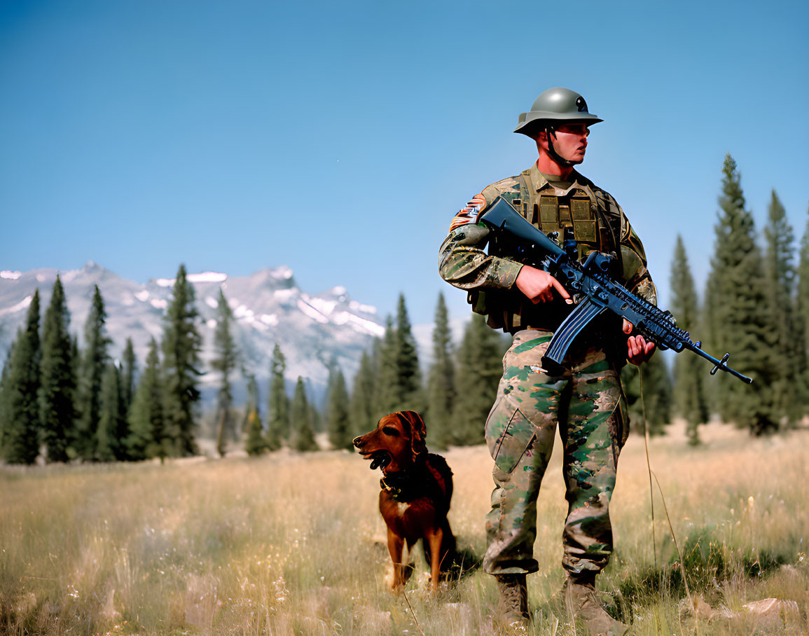 Soldier in camouflage uniform with dog in grassy field, mountains in background