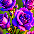 Colorful Purple and Blue Roses on Green Background