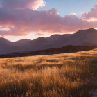 Scenic grassy plain at golden hour with silhouettes against vibrant sky