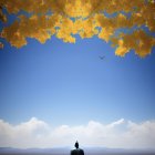 Person in cape walks through autumn forest with surreal sky and icy mountains