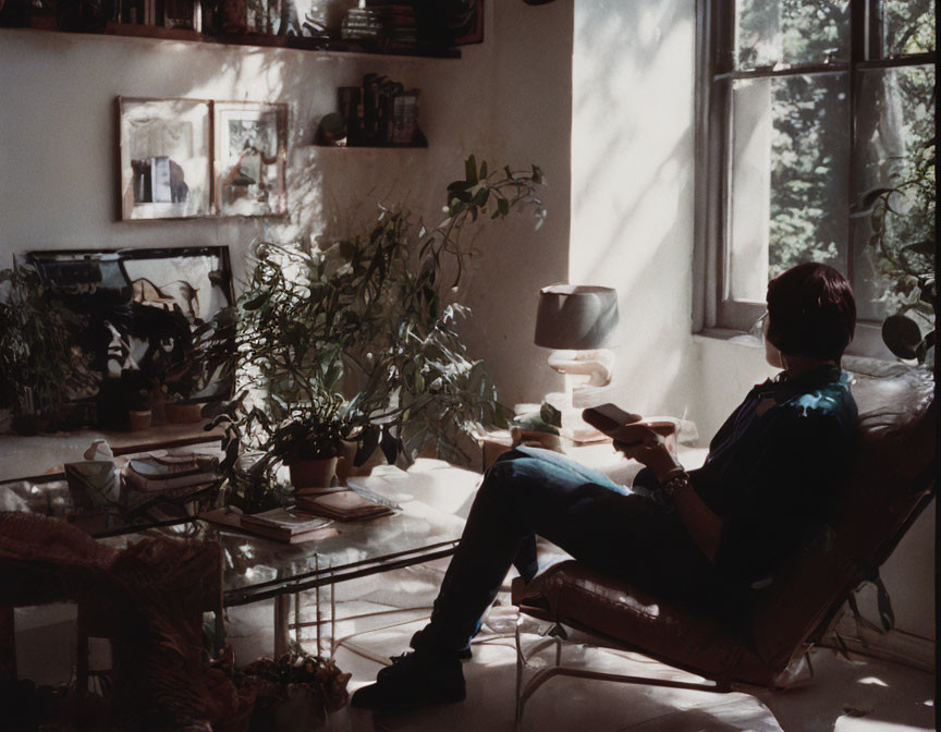 Cozy room with plants and books, person reading by natural light