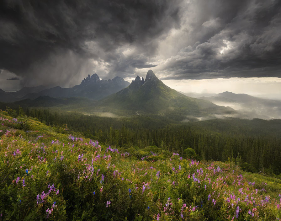 Dramatic landscape with stormy clouds, sun rays, mountain range, misty forests, and