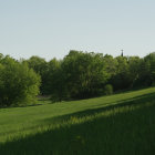 Vibrant green meadow with colorful trees and fluffy white clouds