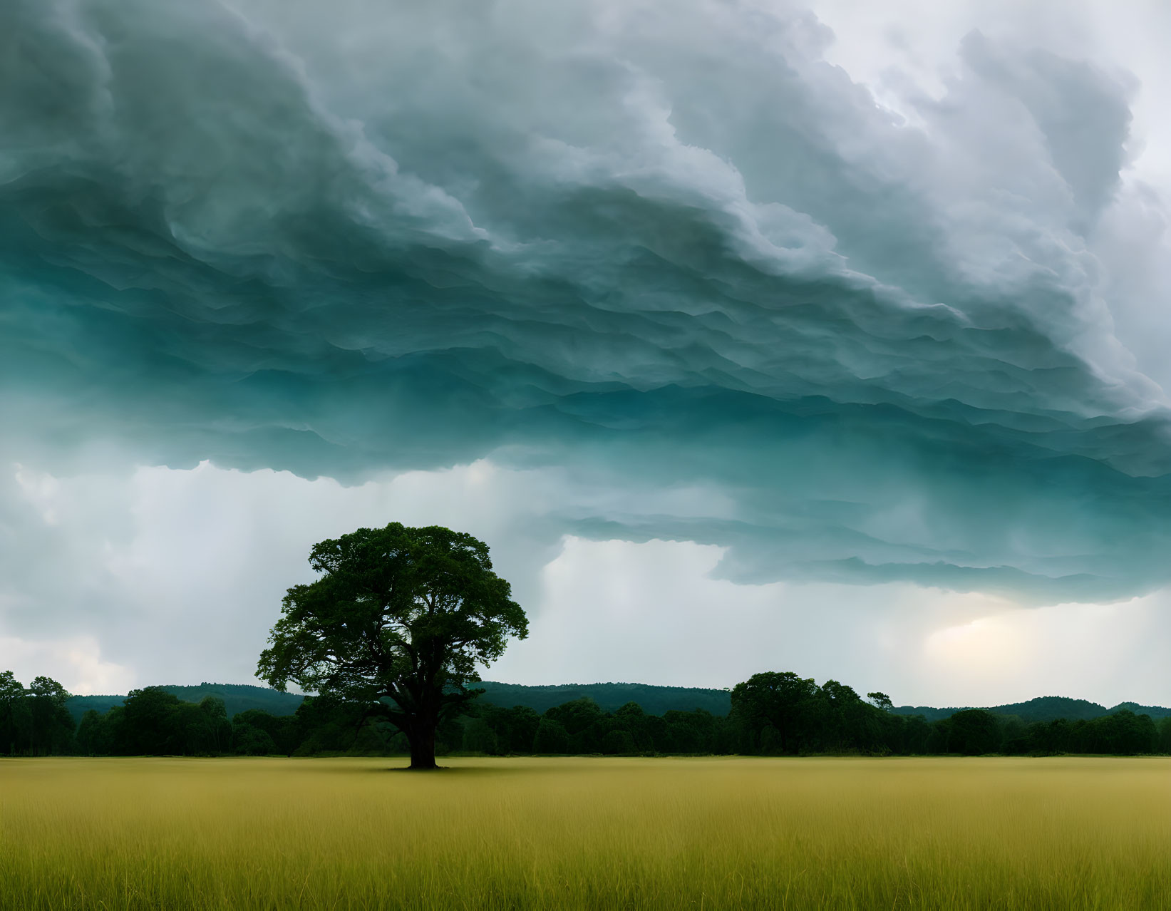 Solitary tree under dramatic storm cloud in tranquil landscape