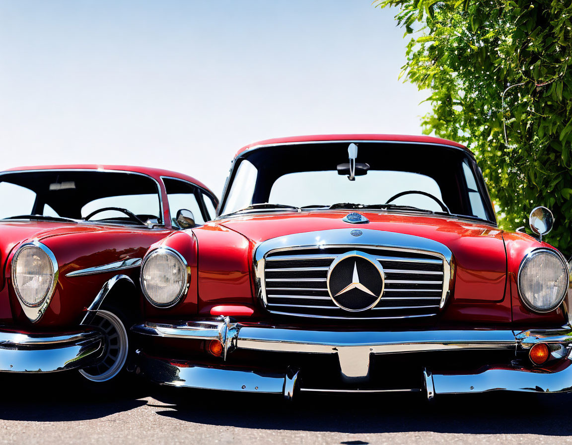 Classic Mercedes-Benz Cars with Shiny Red Paintwork and Iconic Grilles