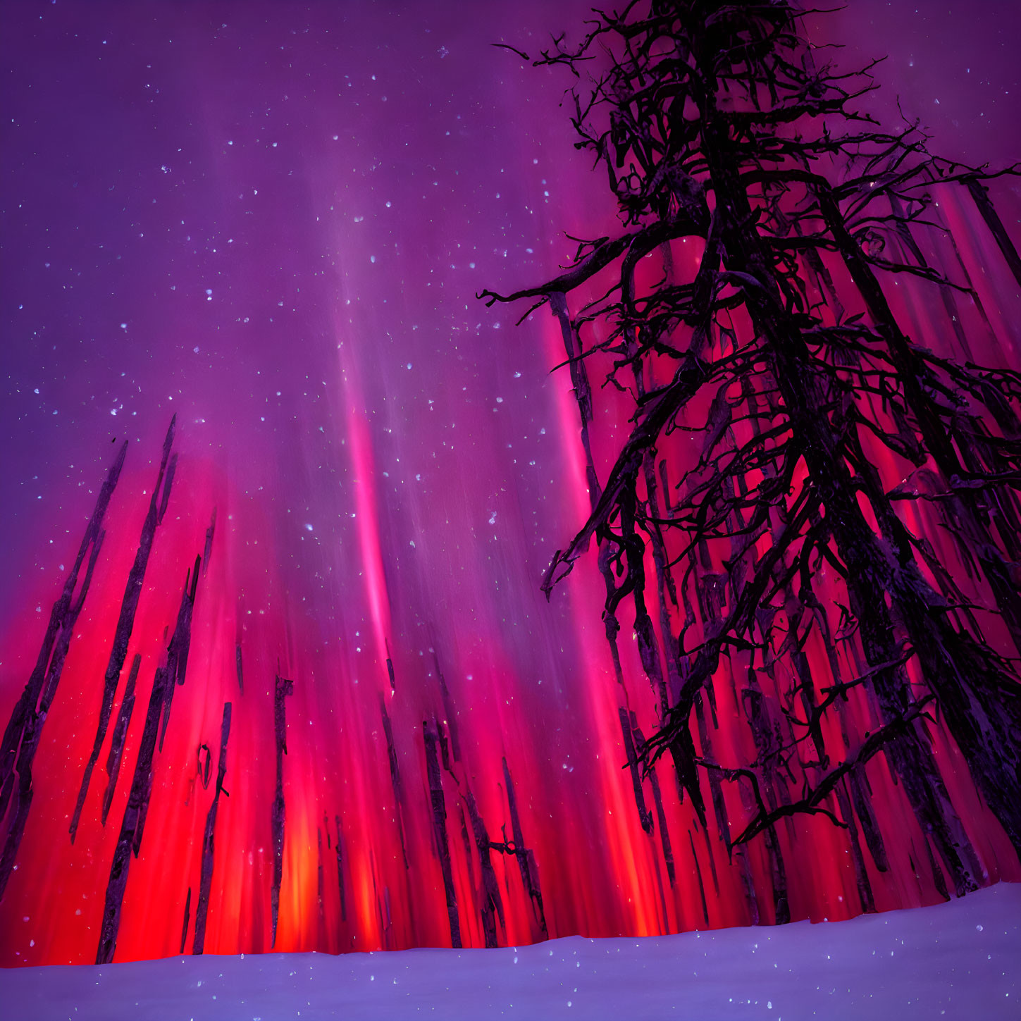 Snowy landscape under vibrant pink and purple night sky with bare trees.