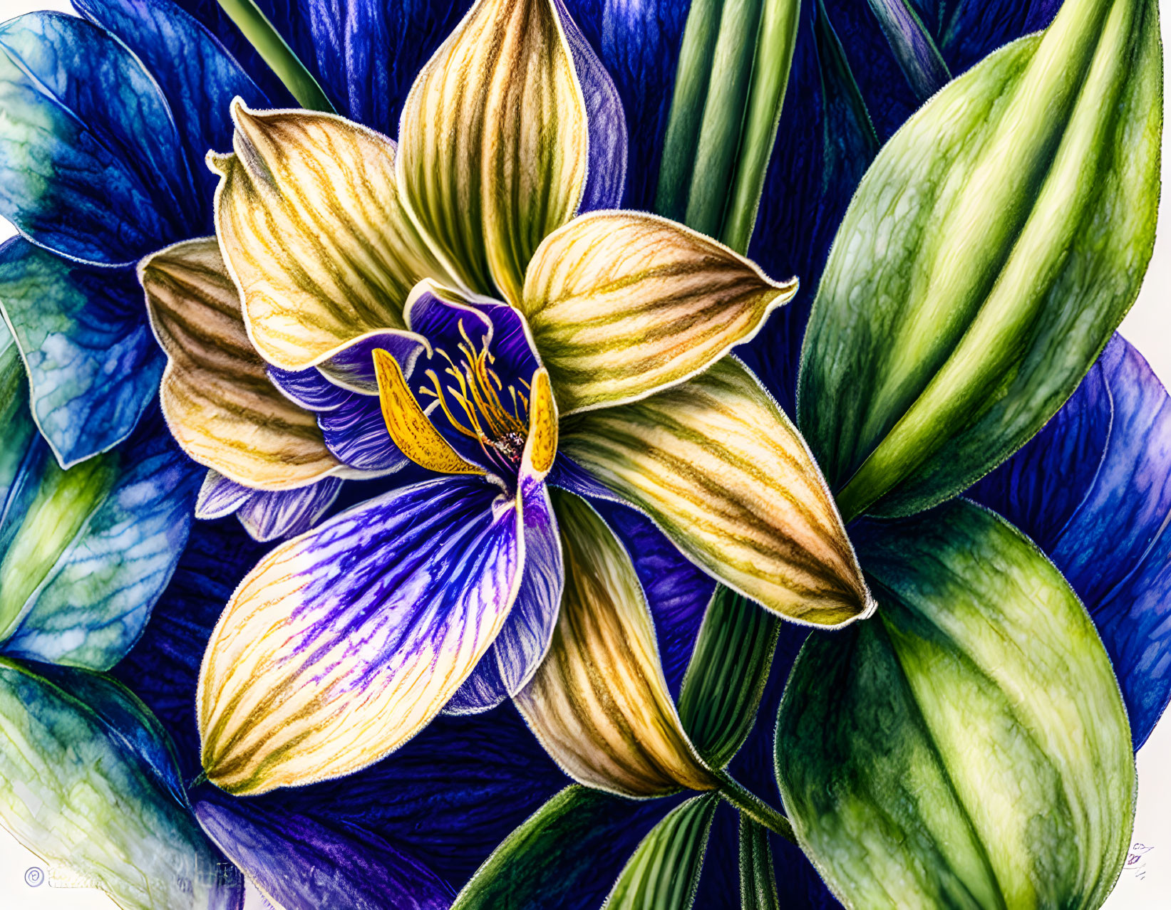 Detailed Illustration of Striped Blue and Yellow Flower