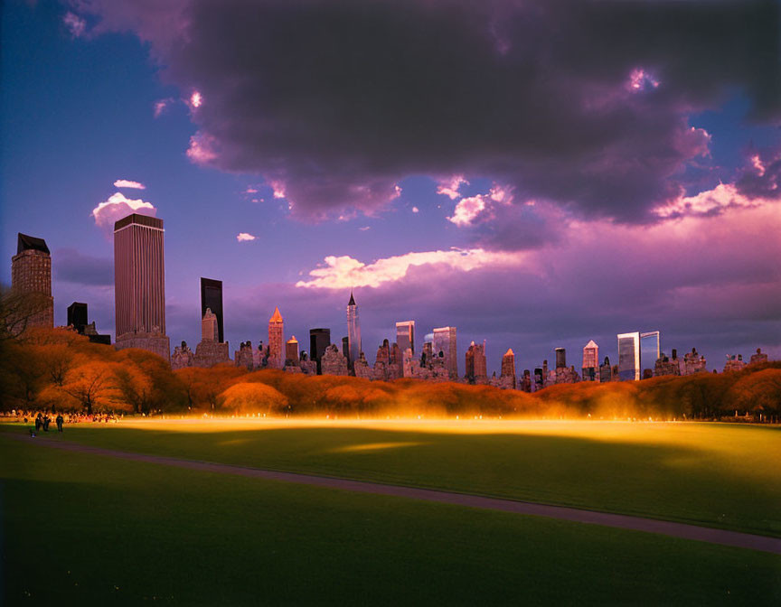 Purple Sunset Over City Skyscrapers and Green Park