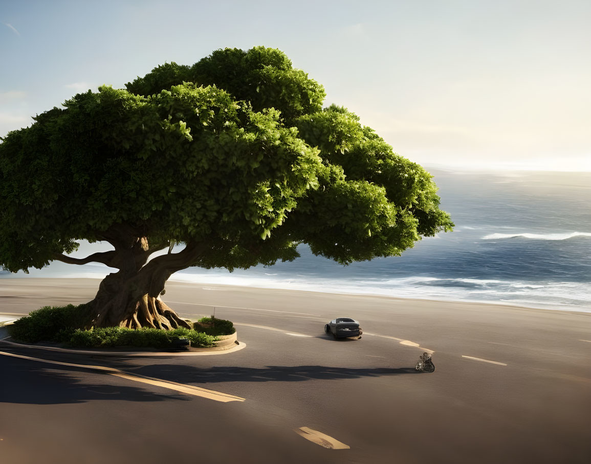 Car passing giant coastal tree with ocean waves.