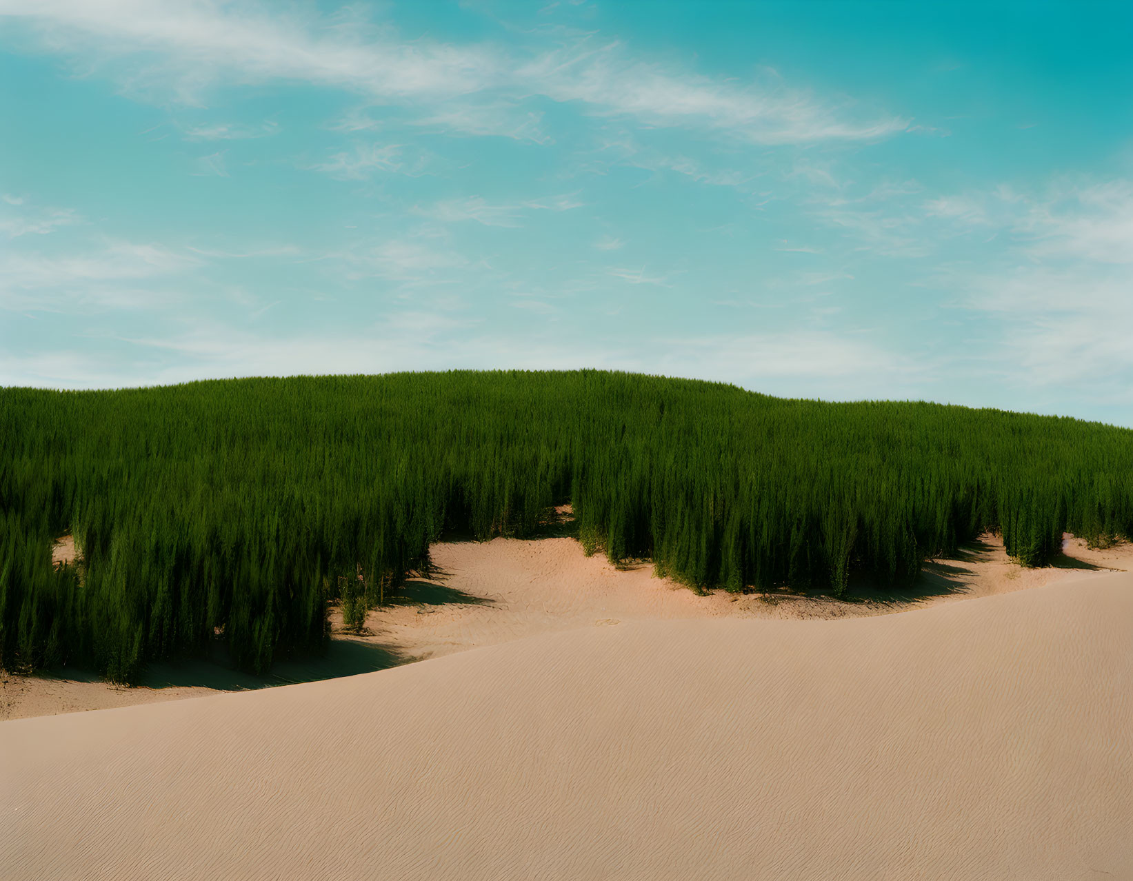 Tranquil landscape: lush green hill, sandy foreground, blue sky