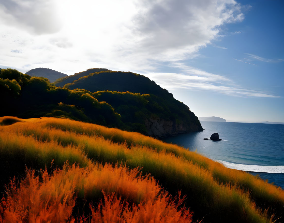 Vibrant orange grass, green hills, calm sea: Coastal sunset landscape