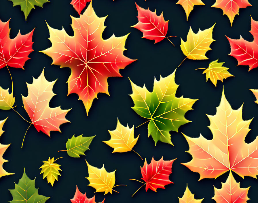 Assorted colorful autumn maple leaves pattern on dark background