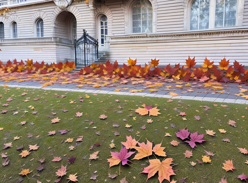 Autumn pathway with colorful leaves near classical building