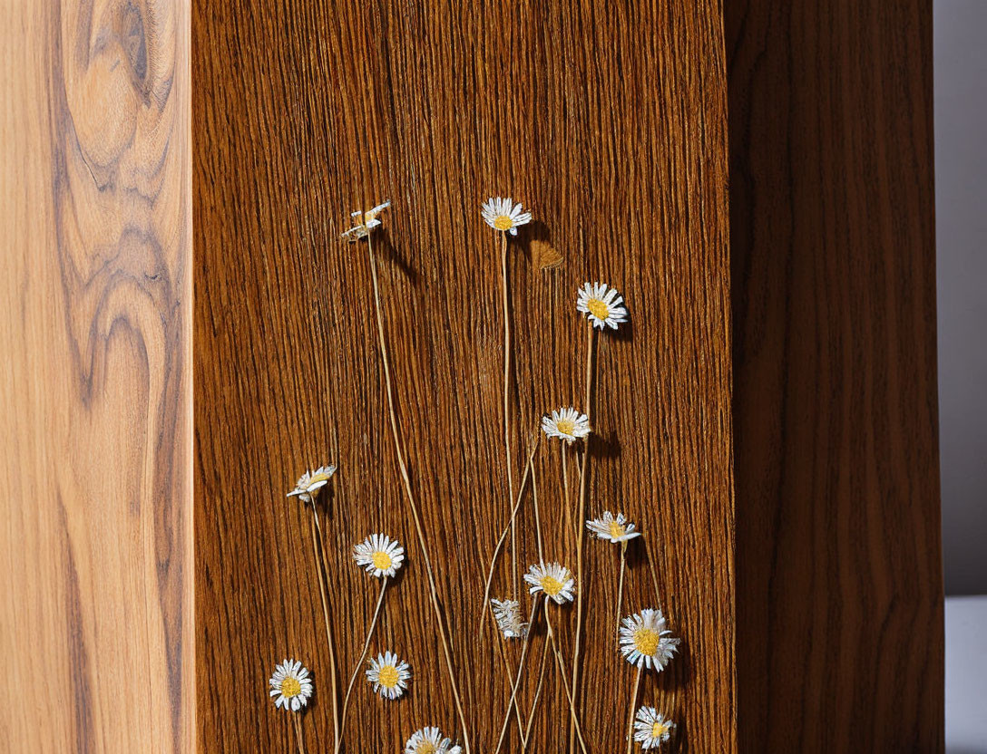 Daisy flowers on thin stalks against wooden background