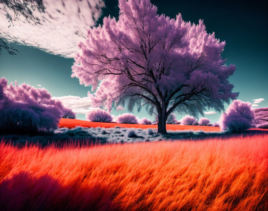 Vivid surreal landscape with pink foliage, red field, and blue sky