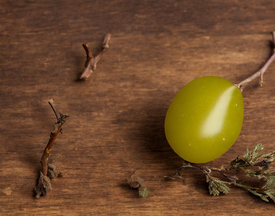 Green grape with stem on wooden surface among dry twigs and leaves