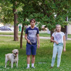 Two Men and Dog Walking on Sunny Path with Trees and Houses