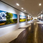 Vibrant landscape paintings in modern art gallery interior