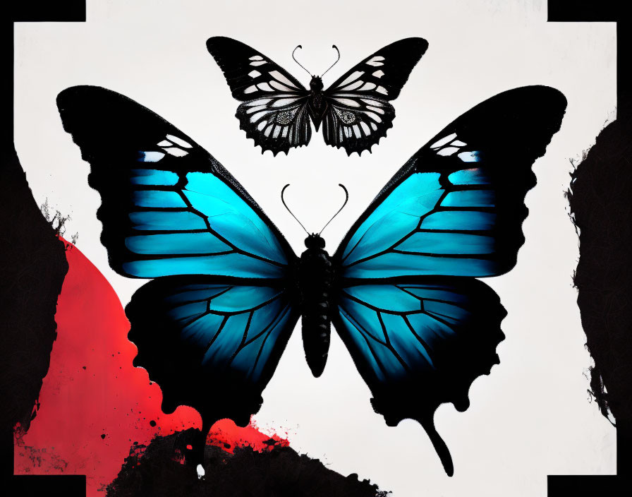 Stylized butterflies with vibrant blue wings on white background.