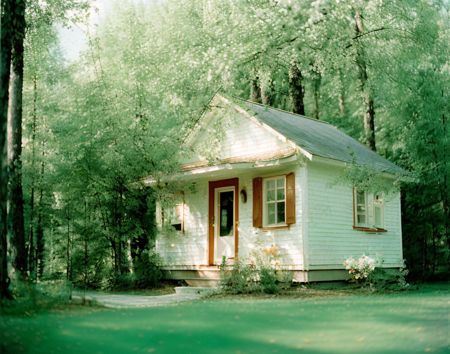 Small White Cottage with Red Door in Lush Green Forest