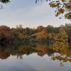 Fantastical landscape with vibrant trees and pink-leaved conifers by tranquil river