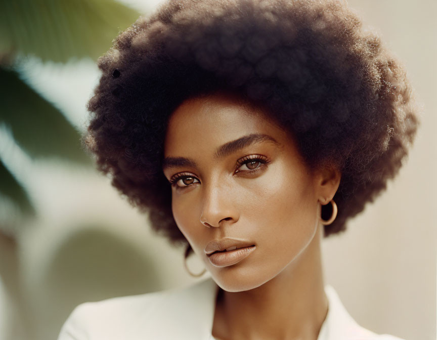 Portrait of a person with striking eyes, prominent cheekbones, and voluminous afro against blurred natural