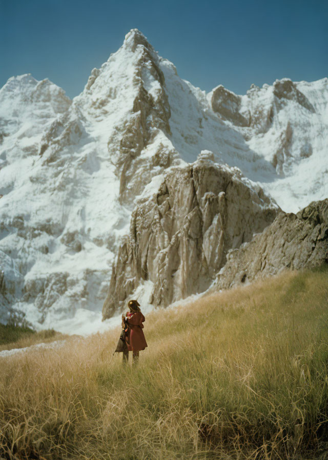 Person in Red Coat Standing in Tall Grass with Snow-Covered Mountains