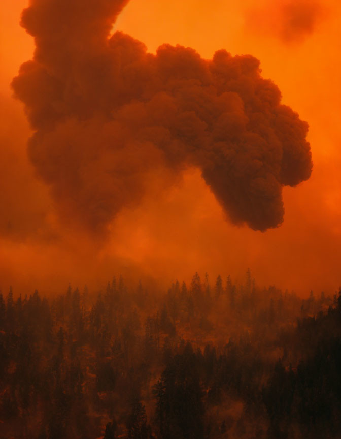 Vivid orange and yellow sky with smoke from forest fire.