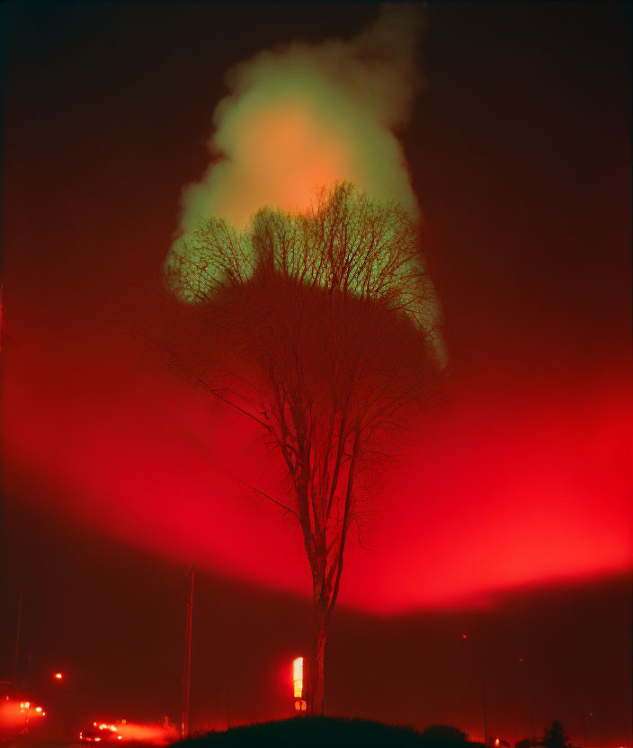 Solitary tree silhouette against red foggy backdrop with industrial structure at night