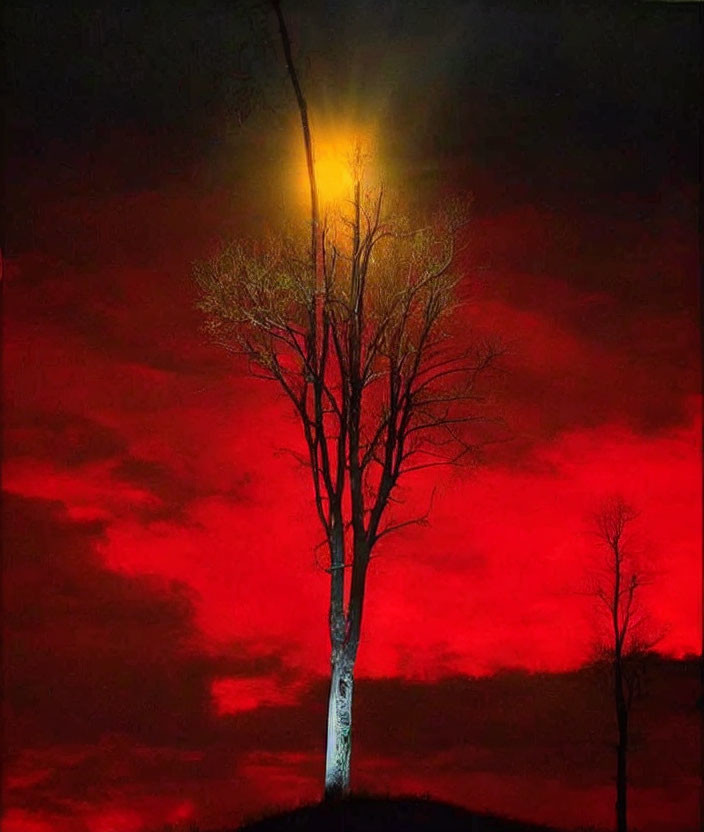 Lone tree against vibrant red sky with yellow light source on branches