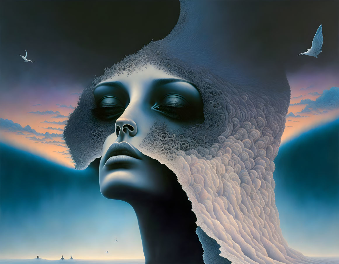 Surreal artwork: woman's face with closed eyes, lace-like texture, seagulls,