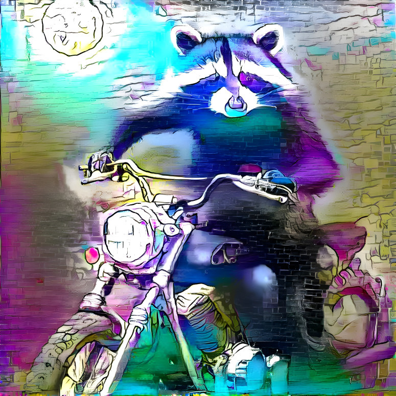 raccoon on a motorcycle