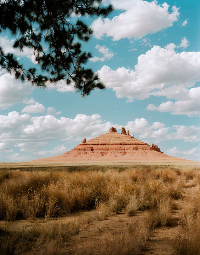 Sandstone Butte Under Blue Sky with Clouds and Pine Branches in Grassy Field