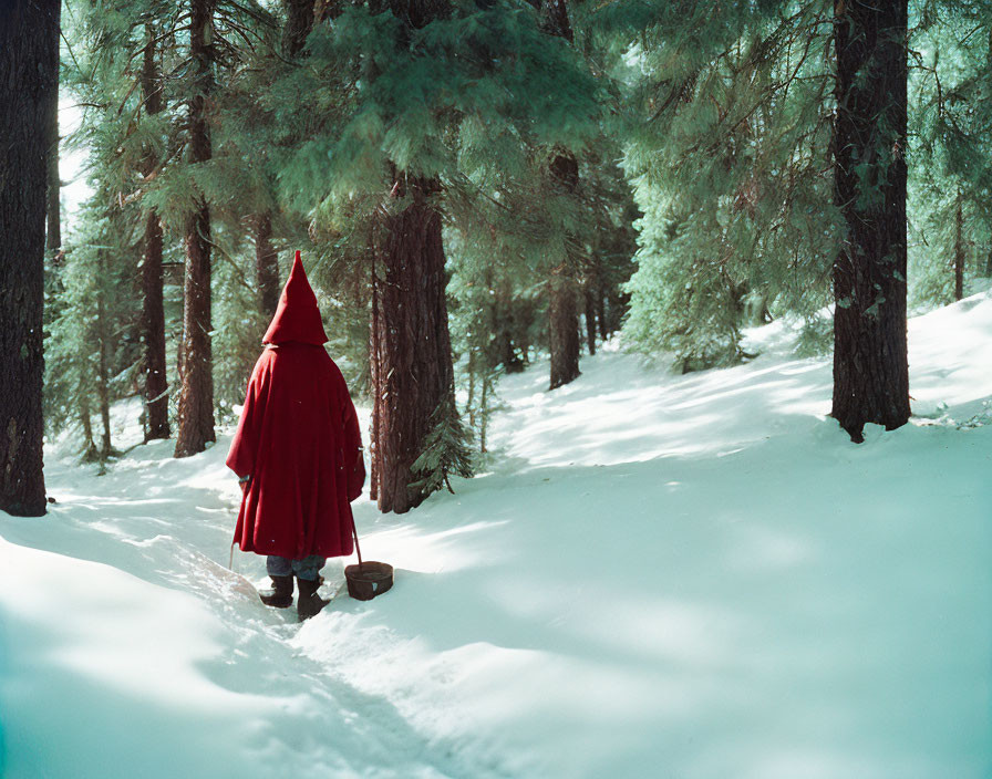 Person in Red Cloak Walking Through Snowy Forest with Tall Pine Trees