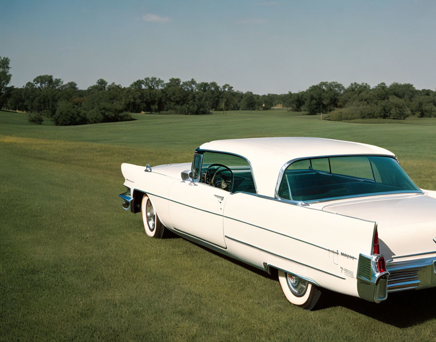 Vintage white Cadillac parked on green field under blue sky