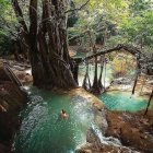 Fantastical Landscape with Ancient Tree and Waterfalls