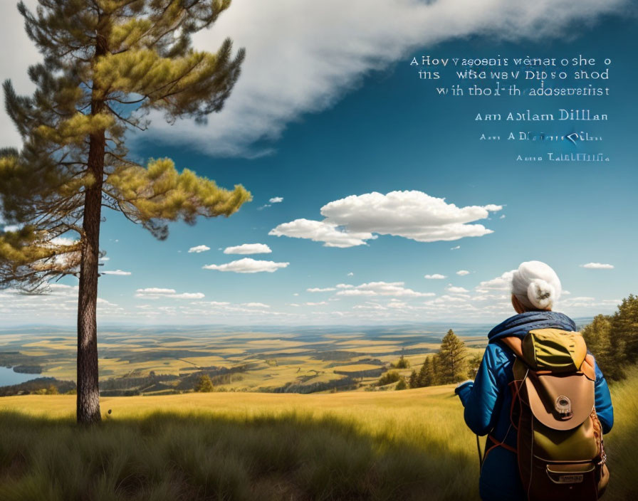 Traveler with backpack admiring lush landscape on grassy hill