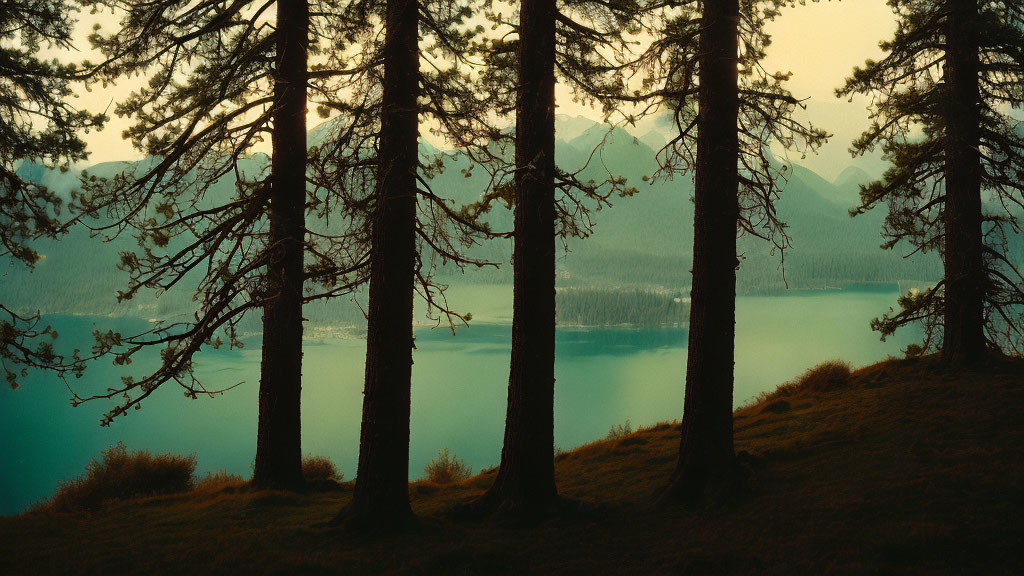 Serene Dusk Scene: Lake, Silhouetted Pines, Mountains