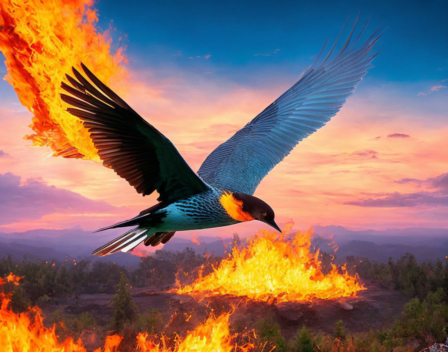 Bird with fiery wings flying over blazing landscape flames at sunset