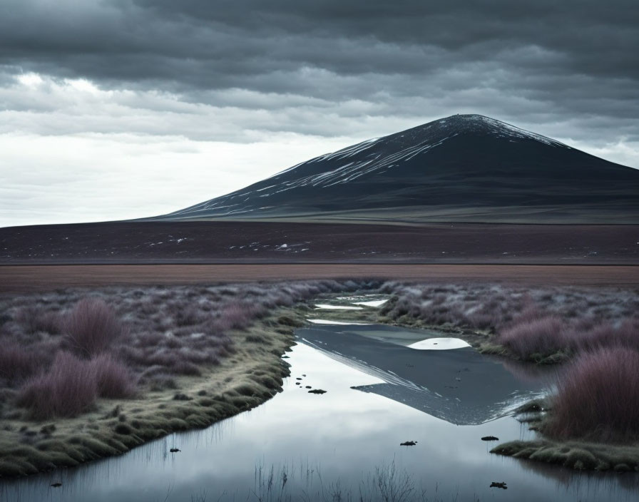 Snow-capped mountain in moody landscape with serpentine stream and purple grasses