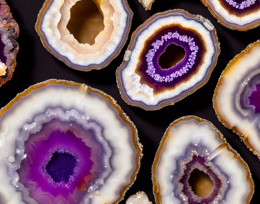 Polished Geode Slices with Purple and Brown Bands